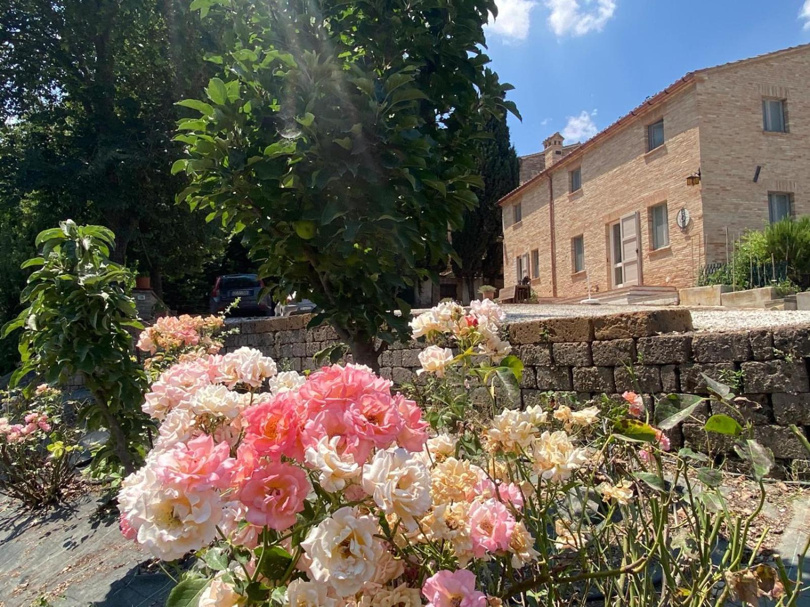 Villa Al Teatro di Tavignano Cingoli Esterno foto